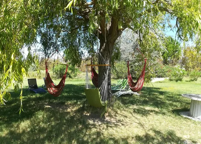 Mas Des Marbres Sauvages Dans Un Parc Immense A 10mn De La Дом отдыха *
