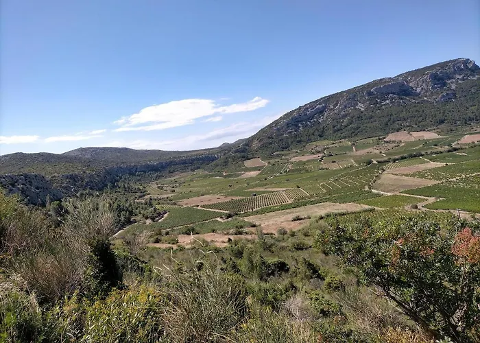 Дом отдыха Mas Des Marbres Sauvages Dans Un Parc Immense A 10mn De La Сент-Мари-ла-Мер