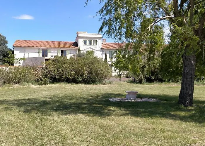 Mas Des Marbres Sauvages Dans Un Parc Immense A 10mn De La بيت للعطل سانت ماري لا مير